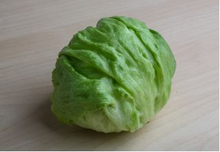 Хрусткий салат "Айсберг" "Grazer Krauthauptel 2" - європейське чудо - 900 насінь - Lactuca sativa L.  - насіння