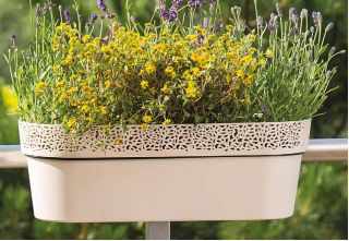 "Rosa" mesh pot casing with a lace-like finishing - 30 x 11.7 cm - light beige