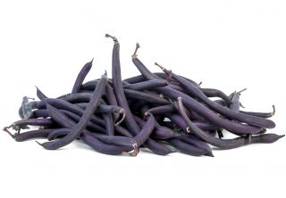 Νάνος γαλλικό φασόλι "Purple Teepee" - 100 σπόροι - Phaseolus vulgaris L.