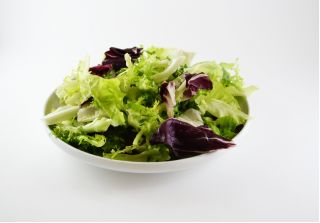 Baby Leaf - tender lettuce mix