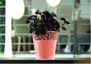 Pot bunga bundar dengan renda - 17,5 cm - Naturo - Persik - 