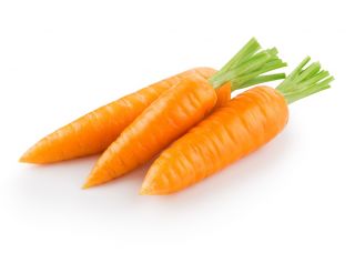 Carrot "Katrin" - Chantenay-type, very early variety for first culture under aggrotextiles - 2550 seeds