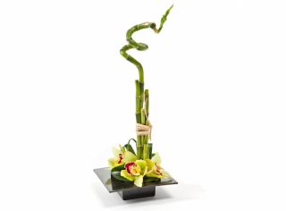 Квадратний квітковий горщик - композиційна основа - Ікебана - 19 см - Чорний - 