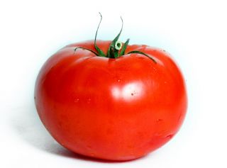 Tomato "Gigant" - Lycopersicon esculentum Mill  - benih