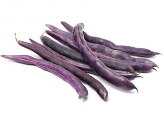 Kerdil kacang Prancis "Purple Teepee" - 100 biji - Phaseolus vulgaris L.