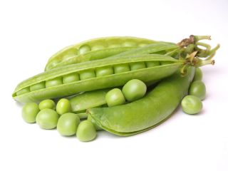 豌豆“Boogie” - 强烈的绿色，长卷须 - Pisum sativum - 種子
