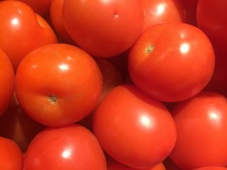 Tomat "Apis" - varietate de câmp cu fructe rotunde și ferme - 66 de semințe - Lycopersicon esculentum Mill 