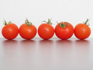 Tomat "Apis" - varietas lapangan dengan buah bulat, keras - 66 biji - Lycopersicon esculentum Mill 