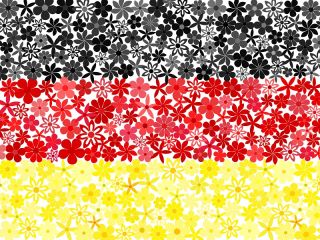 Tysk flag - frø af 3 sorter - 
