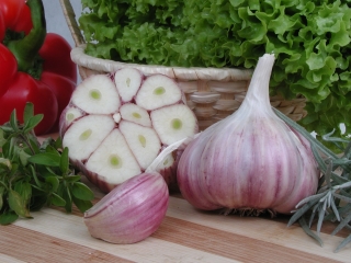 Winter garlic "Harnaś" - 3 bulb (0,18 - 0,25 kg)