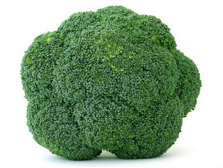 BIO - Brokoli - Sertifikalı organik tohumlar - 300 tohum - Brassica oleracea convar. Botrytis