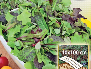 鲜叶-家庭混合-盒装栽培，10x100厘米垫 - 