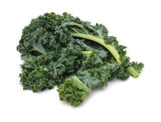 Kale "Halbhoher grüner krauser" - 50 g of seeds - 15000 seeds