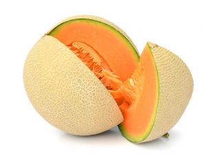 Cantaloupe "Junior" - hustá, oranžová, aromatická dužina - 35 semien - Cucumis melo L. - semená