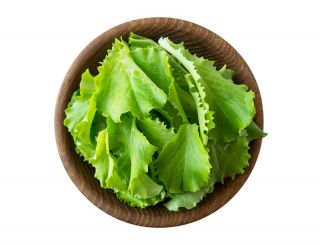 Baby Leaf - Salata "Lollo" - Lactuca sativa var. Foliosa - semințe