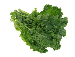 Kale "Corporal" - phát triển thấp với màu xanh đậm, lá tỏa sáng - 300 hạt - Brassica oleracea convar. acephala var. Sabellica