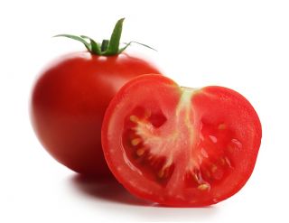 Tomat "Beta" - ideal untuk tukang kebun hobi - Lycopersicon esculentum Mill  - biji