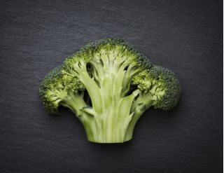 Brokoli "Limba" - 300 biji - Brassica oleracea L. var. italica Plenck