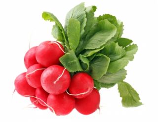 Radish "Carmesa" - early, thin-skinned variety for under cover and field cultivation - 425 seeds