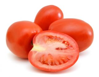 Biji tomat Kmicic - Lycopersicon esculentum - 500 biji - Solanum lycopersicum 