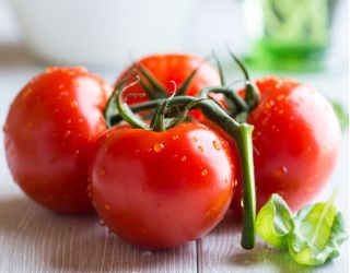 토마토 "Bekas F1"- 온실 재배 용 - Solanum lycopersicum  - 씨앗