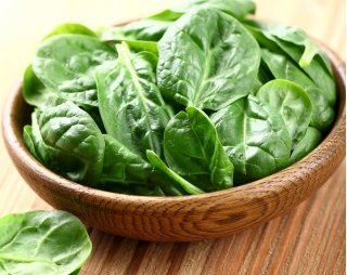 Spinach "Matador" - SEED TAPE