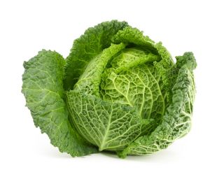 Savoy cabbage "Roma Polana" - sweet and delicious - 325 seeds