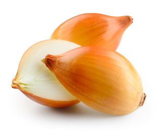 Onion "Polanowska" - 1250 seeds