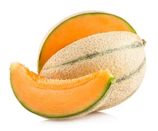 Melon - Malaga F1 - Cucumis melo L. - frø