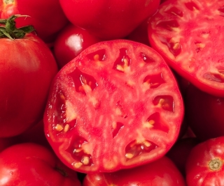 Tomat -Pink Oxheart  - behandlede frø -  Lycopersicon esculentum