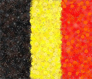 پرچم بلژیک - بذر 3 نوع -  - دانه