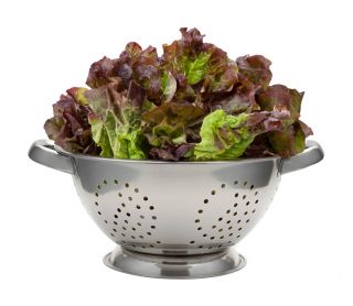 Salat Hode - Rosemarry - rød - 900 frø - Lactuca sativa L. var. capitata