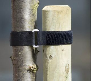 Corbata / banda de árbol 40 x 2.5 cm - 2 piezas - 