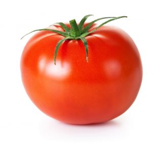 Tomat "Antares" - varietas yang sangat tahan, tidak perlu dipertaruhkan - Lycopersicon esculentum Mill. - biji