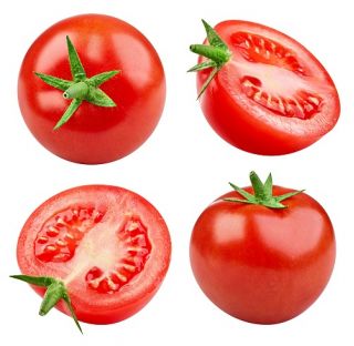 Dwarf, field tomato "Batory F1"