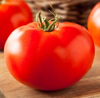 Tomat - Octawian F1 - kasvuhoone - Lycopersicon esculentum Mill  - seemned