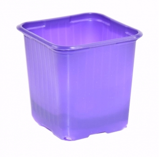 正方形の植木鉢8x8 cm-紫-20個 - 