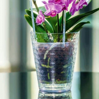 Diament Petit orchid pot casing - 13 cm - transparent