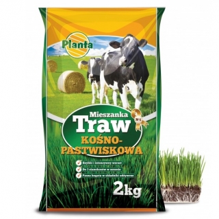 Padang Rumput Hay-padang tanpa seleksi benih rumput Fabaceae B1 - B1 - 2 kg - 