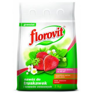Aardbeien- en wilde aardbeimeststof - overvloedige gewassen, groot, heerlijk fruit - Florovit® - 1 kg - 