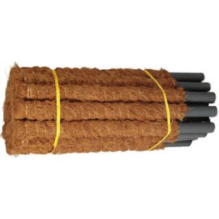 Coconut plant support stake - 25 mm / 40 cm