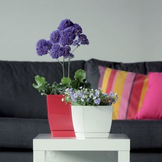 Pot de fleurs carré avec soucoupe - Coubi - 24 cm - Crème - 