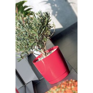 Pot de fleurs rond avec soucoupe - Coubi - 15,5 cm - Olive - 