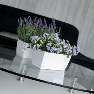Правоъгълна саксия за цветя с чинийка - Coubi - 24 x 12 cm - Бяла - 