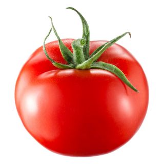 Tomate - Saint Pierre - 200 sementes - Lycopersicon esculentum Mill