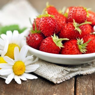 Дива ягода "Rujana" горска ягода, алпийска ягода, карпатска ягода, европейска ягода, fraisier des bois - 640 семена - Fragaria vesca
