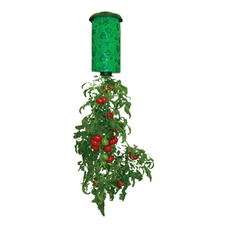 Hangpot voor het kweken van tomaten, paprika en komkommers - 