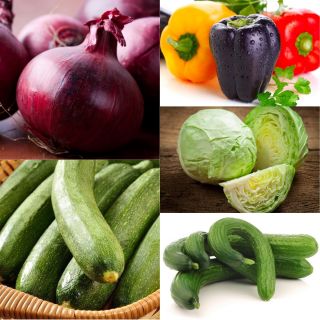 Grøntsager til vinterbeholdninger - Sæt nr. 2 -  - frø