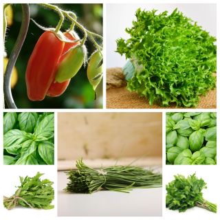 BIO vegetables - Set no. 3 - seeds of 15 vegetable species