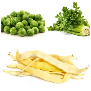 Λαχανικά για διασταύρωση - Αρ. 10 - σπόροι από 4 είδη - 